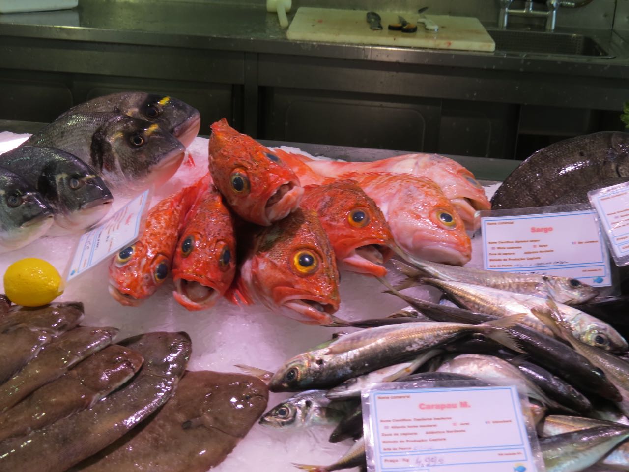 Portugal - Peixaria Profesco, Peniche